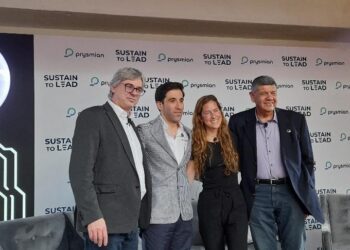 Indispensable inversión en redes de transmisión para avanzar en electromovilidad