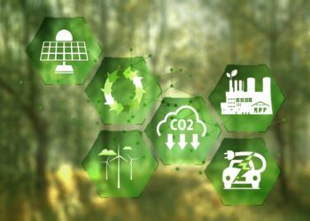 Sostenibilidad sería una estrategia para garantizar la viabilidad de las empresas: BSI