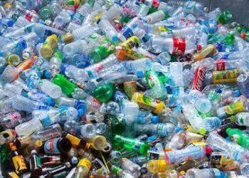 1 de cada 2 mexicanos reconoce si un envase es reciclable: revela encuesta