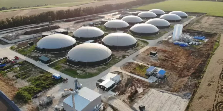 Bunge Chevron Ag Renewables construirá una nueva planta de procesamiento de semillas oleaginosas en Destrehan, Luisiana