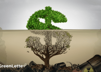 Resistencia política, percepción de bajo rendimiento y greenwashing, los retos de la descarbonización