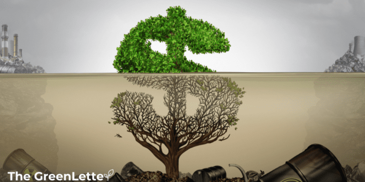 Resistencia política, percepción de bajo rendimiento y greenwashing, los retos de la descarbonización