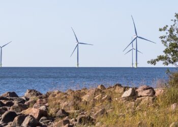 2023, año récord de la energía eólica y la necesidad de medidas políticas