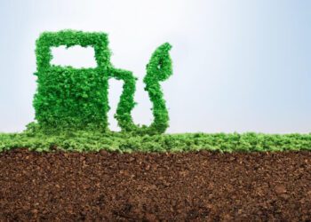 Los biocombustibles, una vía para el net zero