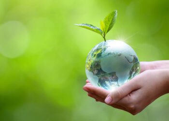 Tres consejos para consumir menos energía eléctrica y contaminar menos: Tripp Lite