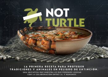 NotCo integra la IA para salvar tortugas marinas