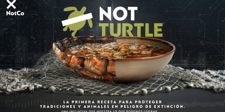 NotCo integra la IA para salvar tortugas marinas