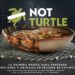 NotCo integra la IA para salvar tortugas marinas