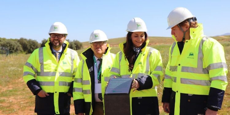 Plenitude, filial de renovables de ENI, construirá su mayor proyecto solar en España