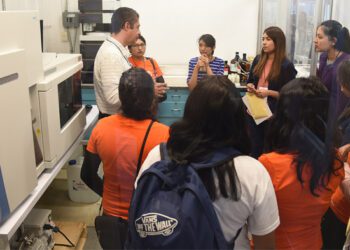 REDMEREE: Iniciativas para lograr la igualdad en la industria solar en el marco de Solar +Storage