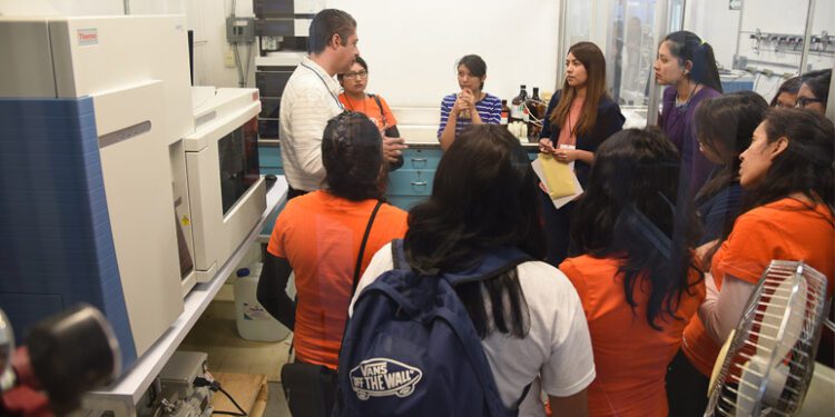 REDMEREE: Iniciativas para lograr la igualdad en la industria solar en el marco de Solar +Storage