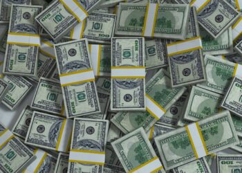 LAS REMESAS Y DIVISAS, EL MITO