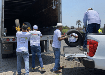 4 acciones sustentables de Bridgestone; camino a ser empresa carbono  neutral en 2050