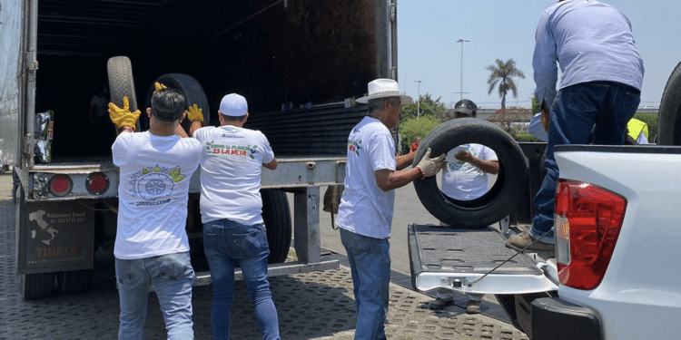 4 acciones sustentables de Bridgestone; camino a ser empresa carbono  neutral en 2050