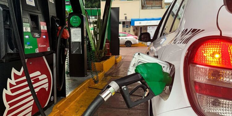 Expo Gas León, Guanajuato 2024:  un evento para sector gasolinero del Bajío