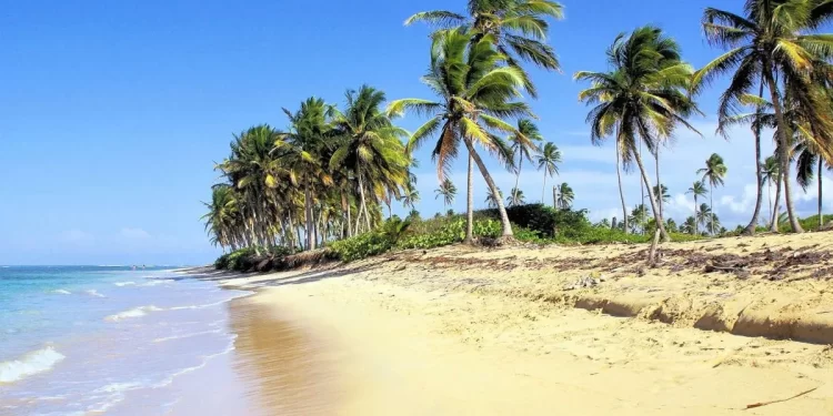 BID destaca crecimiento en países del Caribe