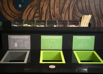 Starbucks México ampliará Plan de Manejo de Residuos a todas las  tiendas de la CDMX en 2025