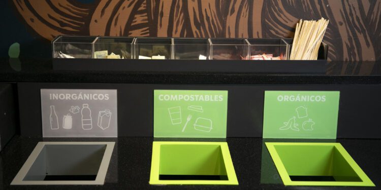 Starbucks México ampliará Plan de Manejo de Residuos a todas las  tiendas de la CDMX en 2025