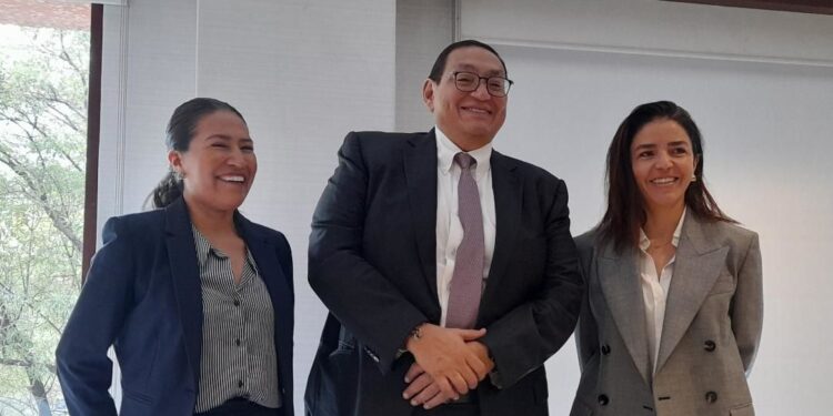 Nearshoring hace urgente líneas de transmisión y generación de energía renovable; en actual sexenio se dejó de crecer hasta 15 veces: AMDEE