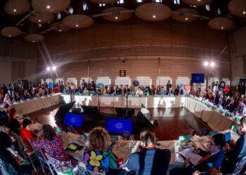 AIE anuncia Cumbre Internacional sobre el Futuro de la Seguridad Energética para 2025