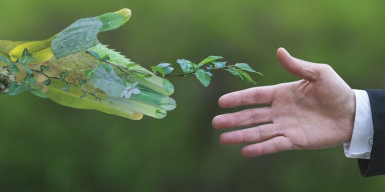 Grupo Grisi reduce 20% el consumo de energía y disminuye 30% las emisiones de CO2