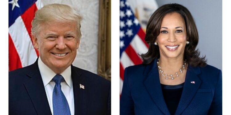 Elecciones de EEUU 2024: ¿Qué política energética favorece a México?