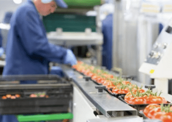 BID Invest financia a Negocio Agrícola San Enrique S.A. para expansión y acciones sustentables