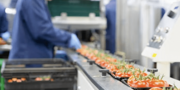 BID Invest financia a Negocio Agrícola San Enrique S.A. para expansión y acciones sustentables