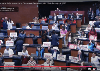 Cámara de Senadores aprueba paquete de reformas para sector energético del país