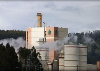 Siemens Energy suministrará solución de energía para la primera planta de celulosa Arauco en Brasil