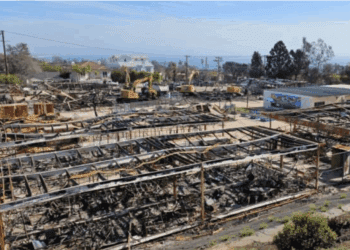 Desastres naturales dejan pérdidas económicas históricas de 83 mil millones de dólares en el primer trimestre