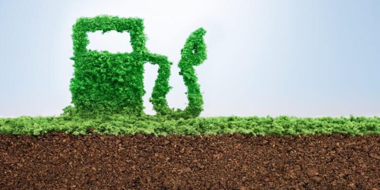 El mundo y México consumirán combustibles fósiles para transporte en las próximas décadas, por los menos que los mejoren