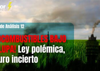 Suelos marginales en México. Los biocombustibles aceleran su integración a la matriz energética