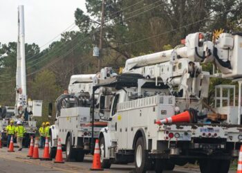 Departamento de Energía de EE.UU. alerta apagón en el sureste de Estados Unidos