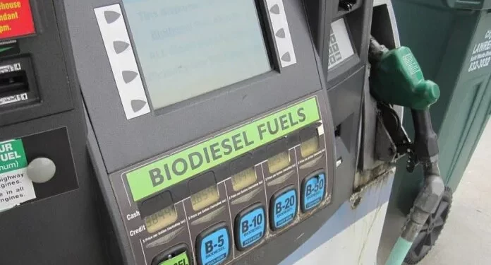 Importaciones de biodiésel y diésel renovable de EE. UU. caen en 2025 por cambio en el crédito fiscal