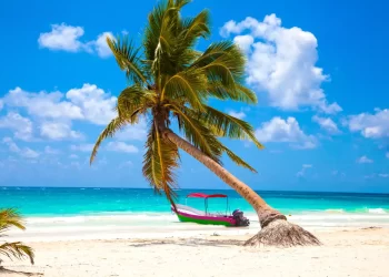 El viaje perfecto comienza antes de despegar:  5 consejos para vivir unas vacaciones memorables