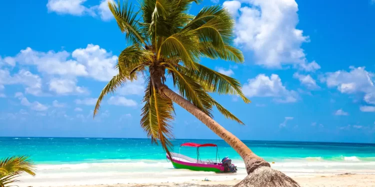 El viaje perfecto comienza antes de despegar:  5 consejos para vivir unas vacaciones memorables