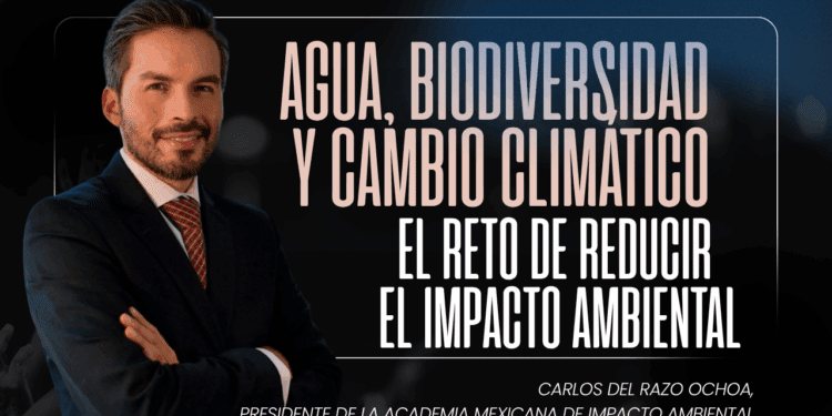 COP 30 y revisión del T-MEC, los desafíos para México en materia ambiental