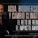 COP 30 y revisión del T-MEC, los desafíos para México en materia ambiental