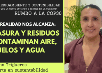 La basura y los residuos: muchos rellenos sanitarios incumplen con normas ambientales