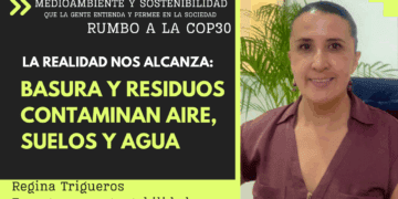 La basura y los residuos: muchos rellenos sanitarios incumplen con normas ambientales