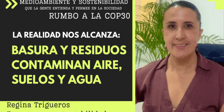 La basura y los residuos: muchos rellenos sanitarios incumplen con normas ambientales