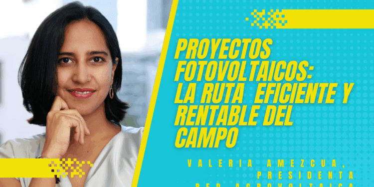 Proyectos agrovoltaicos generan 36GW en el mundo;  México explora oportunidades