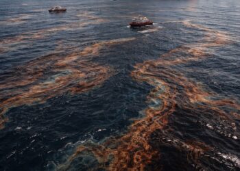 Derrame de petróleo en México: ¿Fue correctamente gestionado?