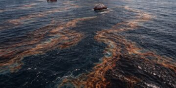 Derrame de petróleo en México: ¿Fue correctamente gestionado?