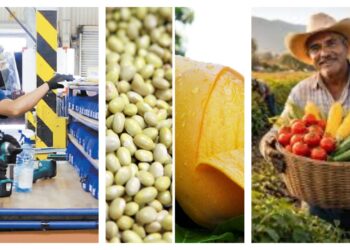 Sinaloa, Nayarit e Hidalgo, las economías estatales con mayor dinamismo en el 2025