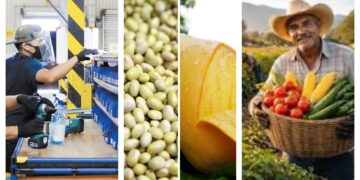 Sinaloa, Nayarit e Hidalgo, las economías estatales con mayor dinamismo en el 2025