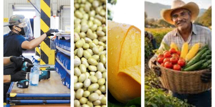 Sinaloa, Nayarit e Hidalgo, las economías estatales con mayor dinamismo en el 2025