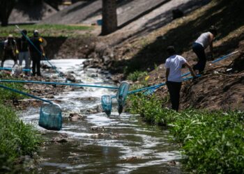 Negocios de residuos, desechos y remediación en recesión, ligan tres trimestres a la baja