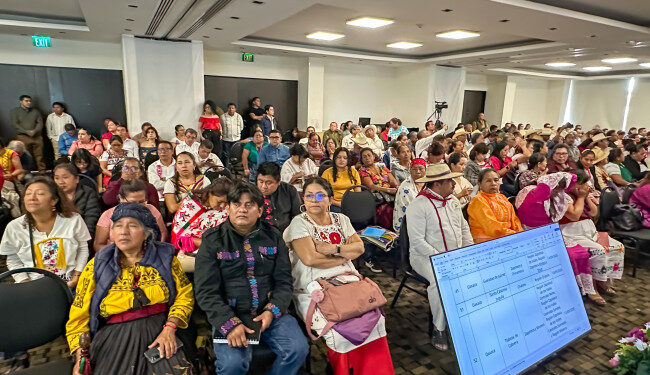 El Gobierno prepara la nueva Ley General de Derechos de los Pueblos Indígenas y Afromexicanos; consulta nacional redefinirá la relación con los proyectos energéticos